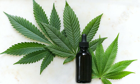 CBD Oil and Hemp Leaves