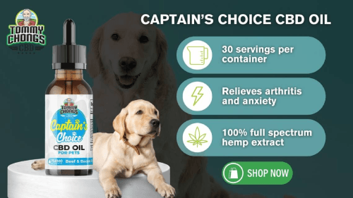 Captain's Choice CBD Shop Now