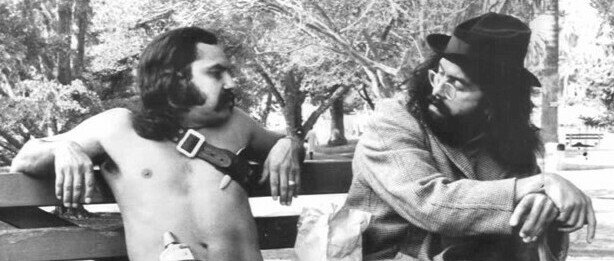 Cheech & Chong the 70s